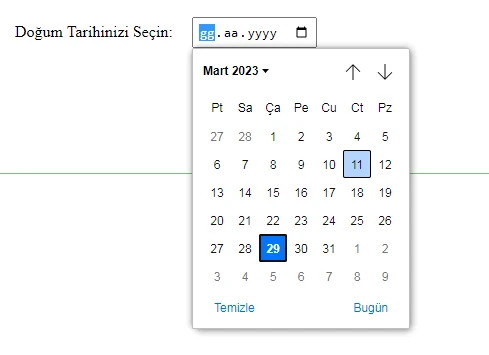 html form input type date