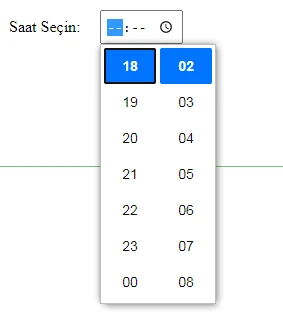 html form input type time